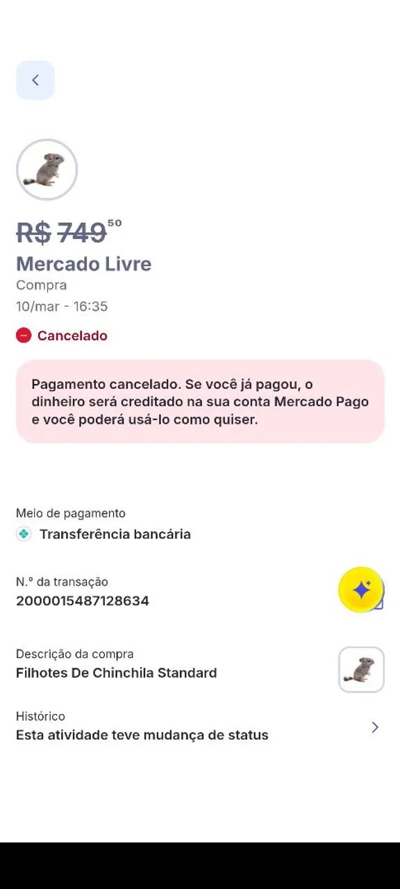 162 - Foto 4