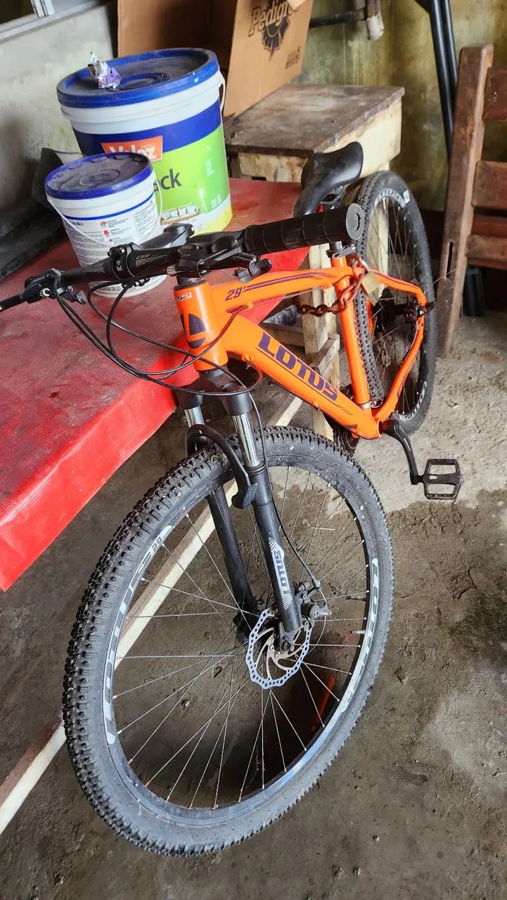 Bicicleta LOTUS - Foto 2