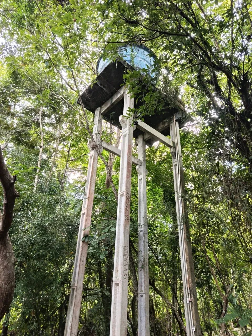 Chácara em Conde litoral sul  - Foto 4