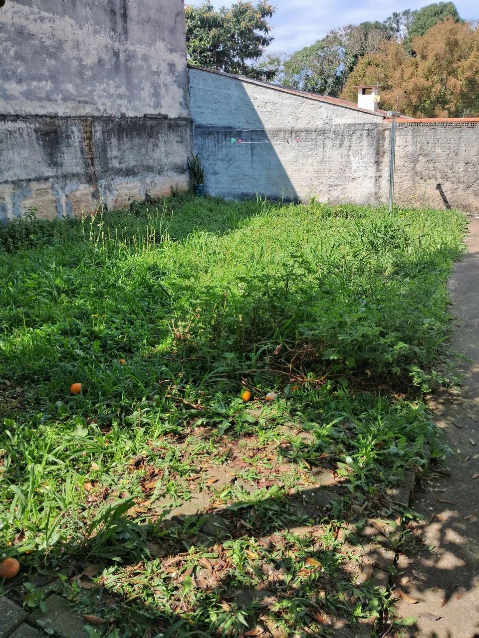 Jardineiro disponível  - Foto 2