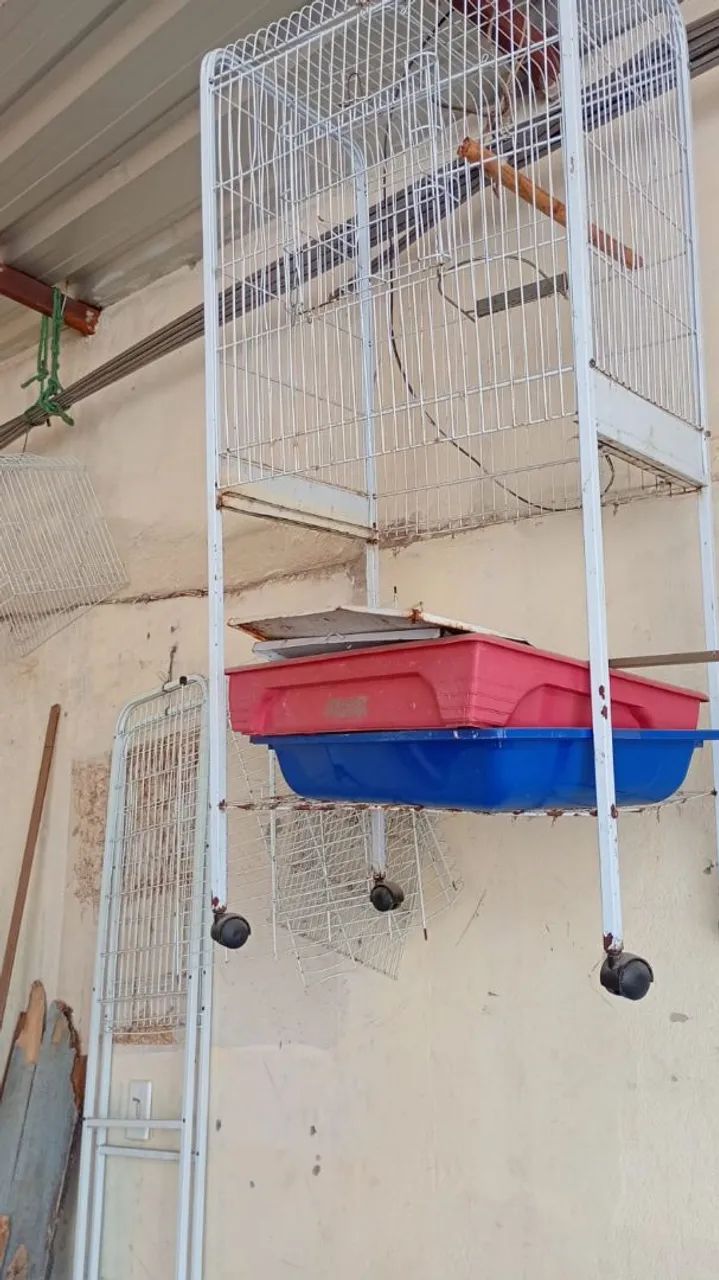 2 gaiola grande de papagaio  e 1 pequena 