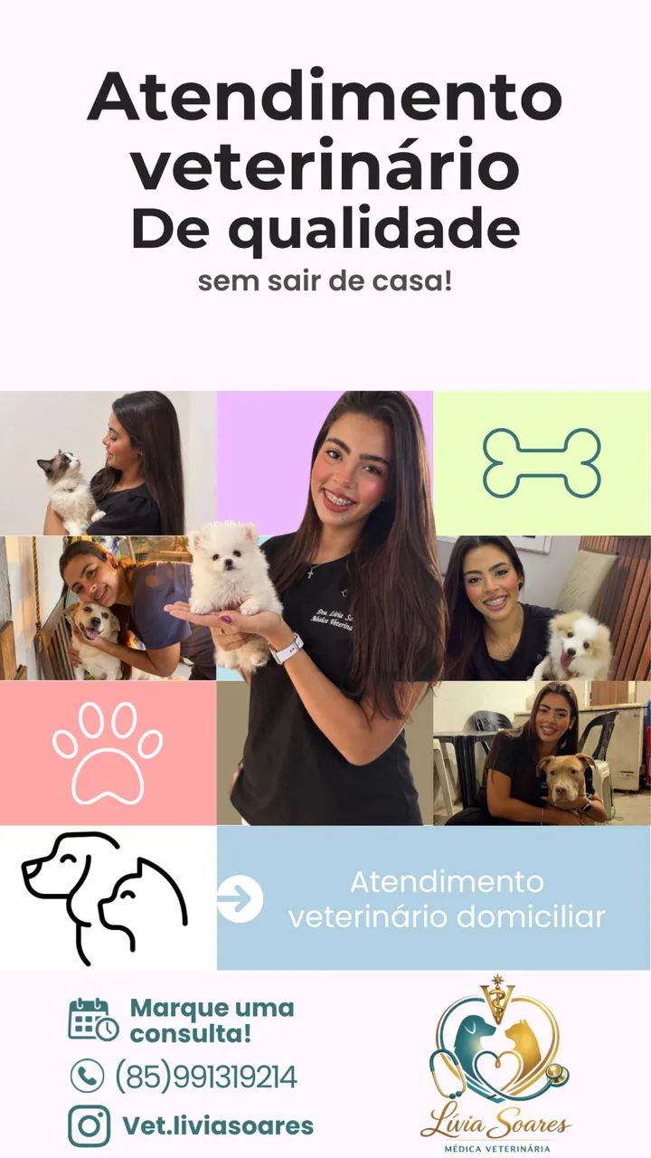 Atendimento veterinário a domicílio 
