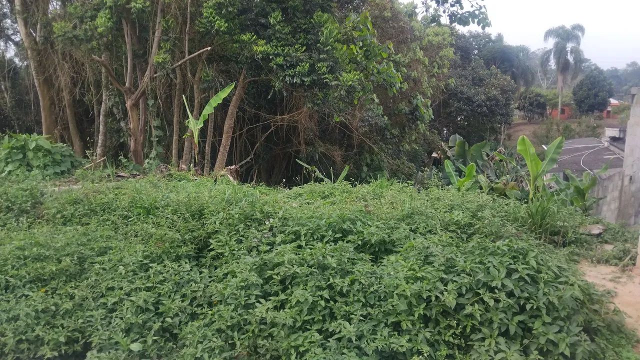Terreno chacrinha