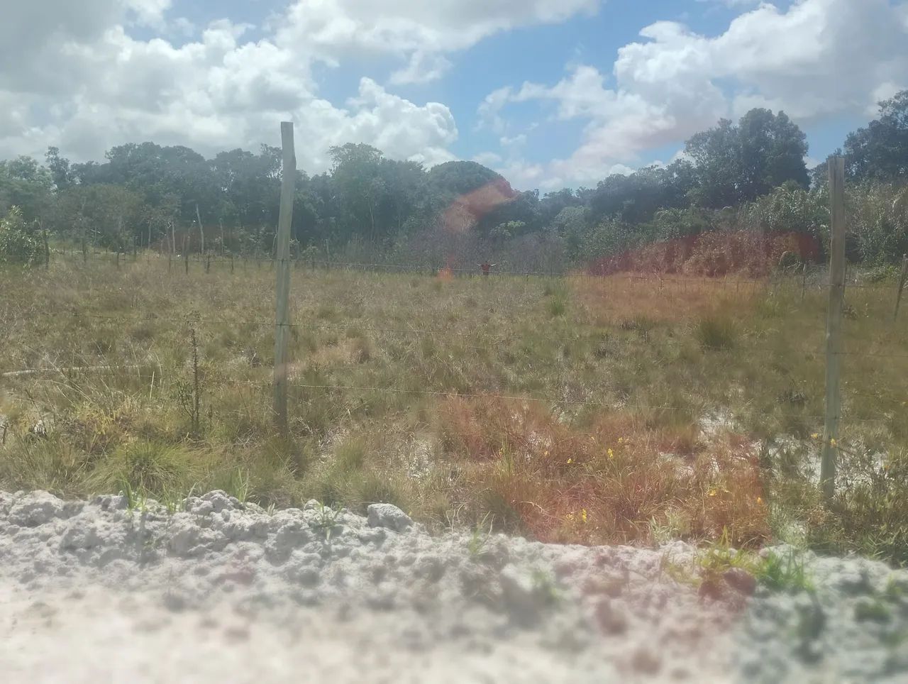 TERRENO  - Foto 2