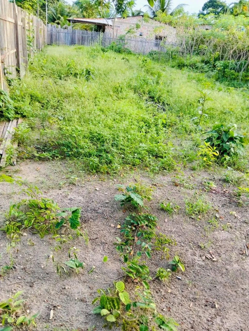 Venda de terreno na comunidade estrada nova - Foto 6
