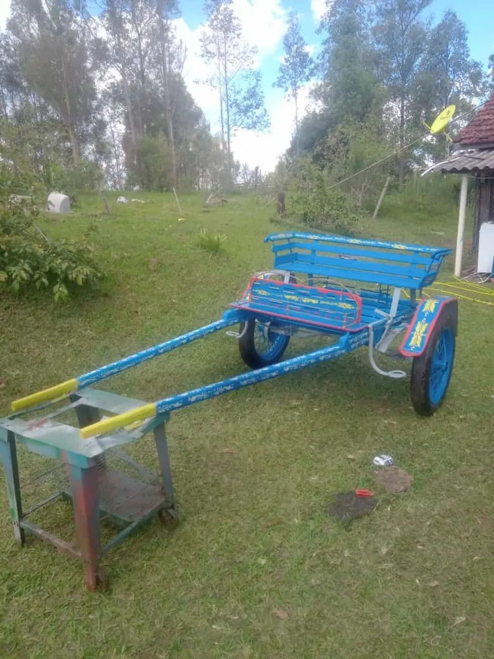 Charrete trassao animal  - Foto 5