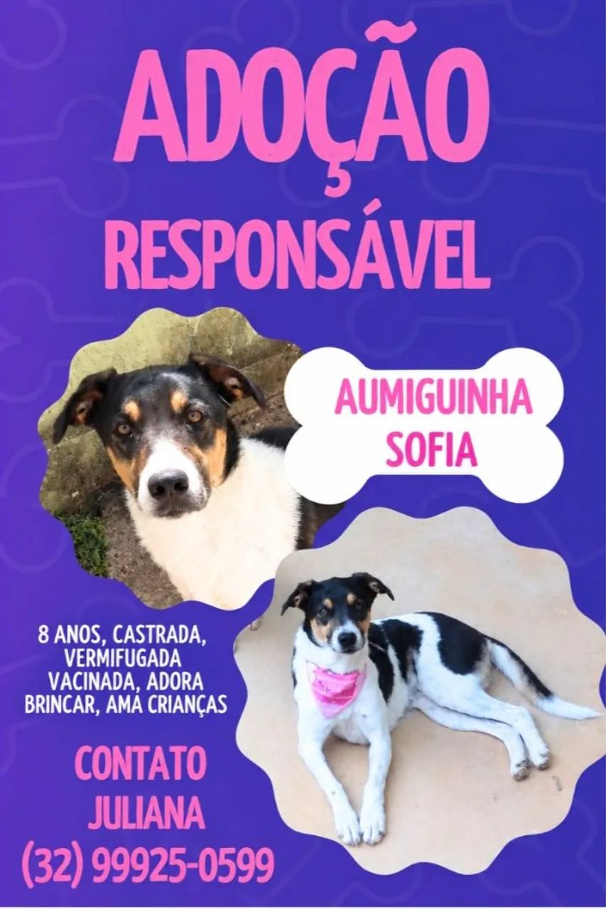 Doação responsável cachorrinha 
