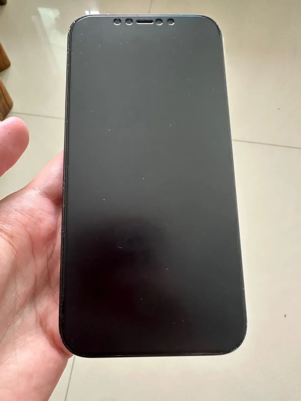 iPhone 12 Pro Max 