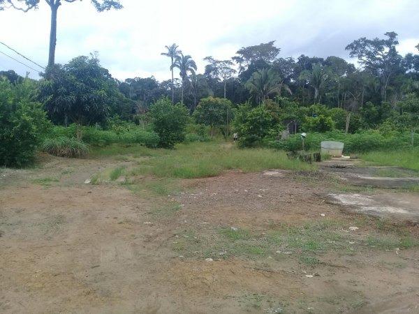 Excelente área / terreno 4,5 hectares Chapada dos Guimarães MT - Foto 2