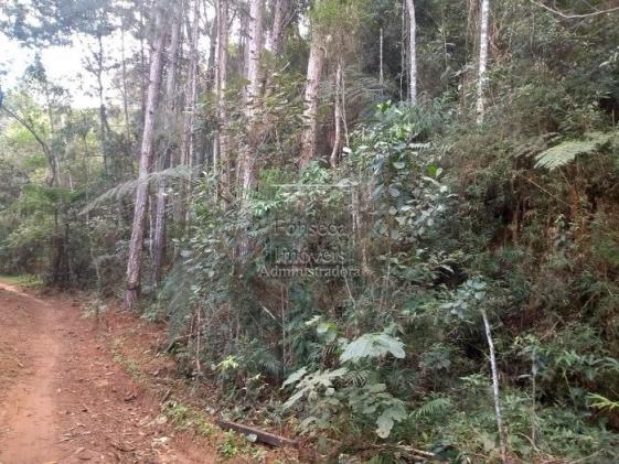Terreno à venda em Fazenda inglesa, Petrópolis cod:3542 - Foto 4