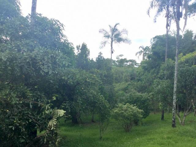 Cód.5684- Chácara Itapuã - Sítio do Recreio - Anápolis - Foto 15