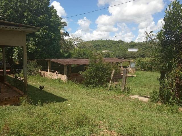 Vendo excelente área com 7.8 Hectáres em São Lourenço da Mata / PE - Foto 7