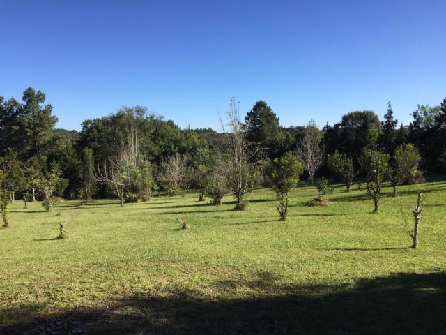 Chácara com 3 dormitórios para alugar, 24000 m² por r$ 4.000/mês - zona rural - mandiritub - Foto 2