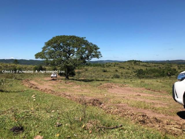 Fazenda para venda, interior - Foto 6