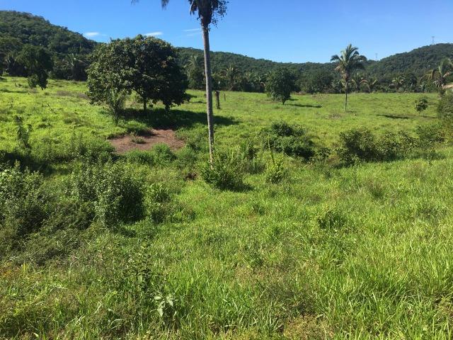 Fazenda para Pecuária a 4 km da BR 364 - Foto 10