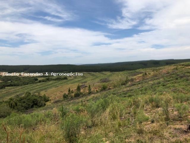 Fazenda para venda em encruzilhada do sul, interior