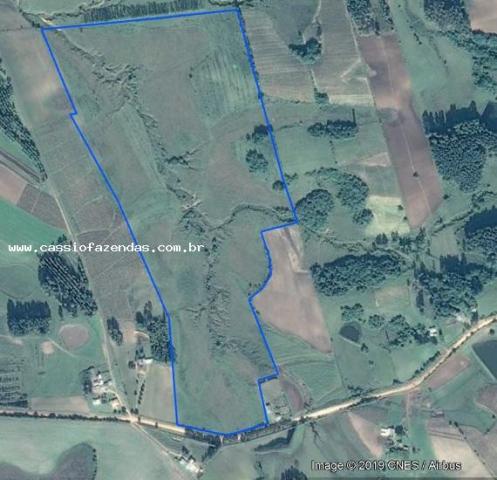 Fazenda para venda em amaral ferrador, interior - Foto 3
