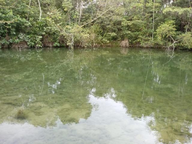 Fazenda para Pecuária em Livramento - Foto 10