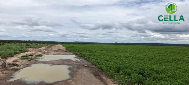 Fazenda / 4.639 ha (958 Alq.) / Balsas / Maranhão - Foto 3