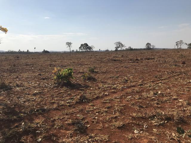 Fazenda 1.240 hectares á venda em jangada - Foto 11
