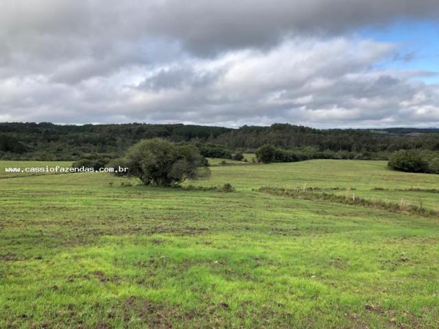 Fazenda para venda em encantado, interior - Foto 4