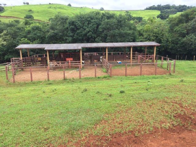 Fazenda rural à venda em Roncador - PR - 52 alqueires. - Foto 4