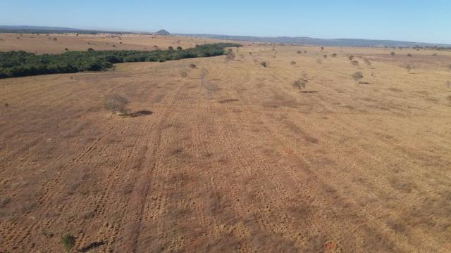 Fazenda 2.520 Alqueires - Foto 10