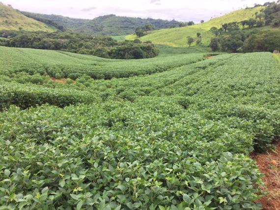Fazenda rural à venda em Roncador - PR - 52 alqueires.