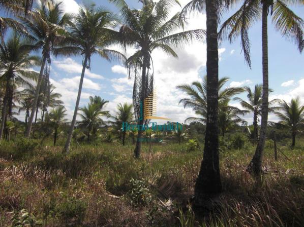 Área à venda, 900000 m² por r$ 3.000.000 - 7km do centro de porto seguro - porto seguro/ba - Foto 8