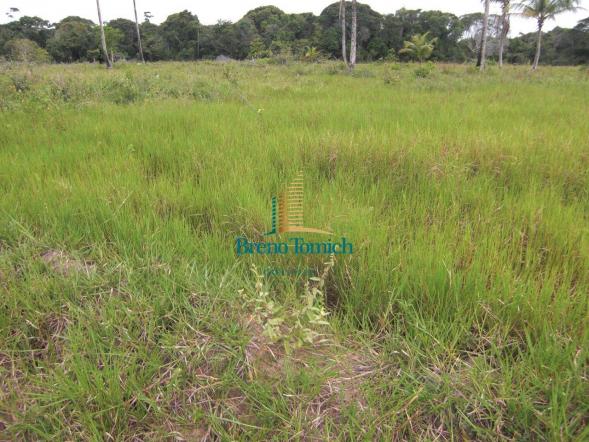 Área à venda, 900000 m² por r$ 3.000.000 - 7km do centro de porto seguro - porto seguro/ba