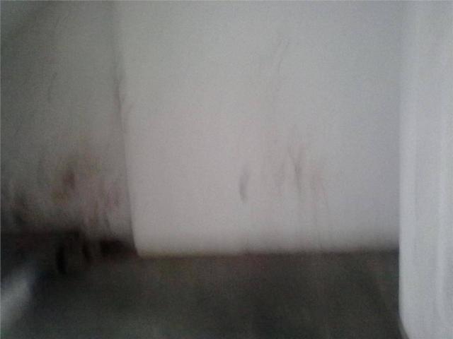 Alugue sem fiador, sem depósito - consulte nossos corretores - galpão para alugar, 1600 m² - Foto 12