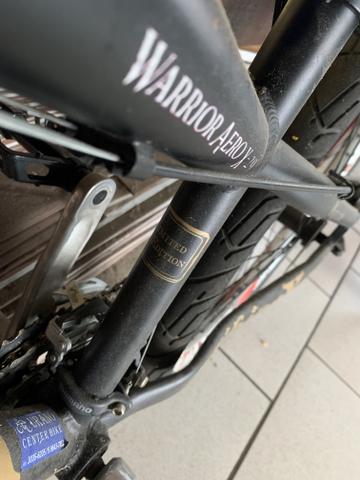 Bicicleta Viking edição limitada - Foto 4