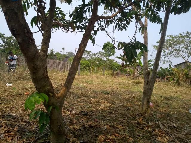 Terreno - Foto 2