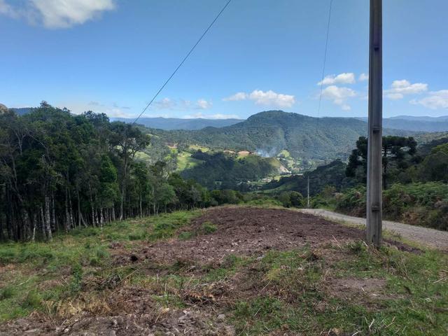 Sítio/Terreno. Francisco krtiscka Corretor De imóveis * - Foto 5