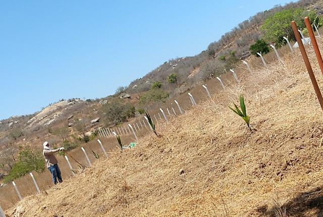 Terreno Lote Chácara CARUARU - Foto 4