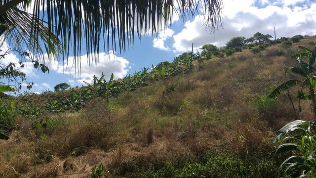 Excelente propriedade em Chã Grande, com 7 hectares - Foto 2