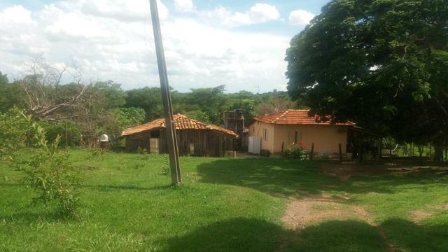 Vendo Chácara 5 alqueires - Foto 10