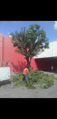  Poda frete e limpeza de casas apartamentos e terrenos *  - Foto 3