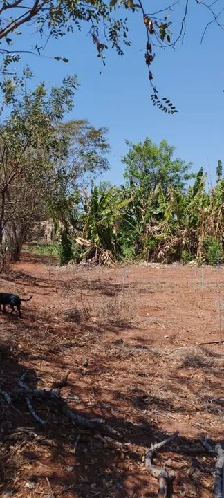 Sítio com 22.800m2 em Bady Bassitt  - Foto 7