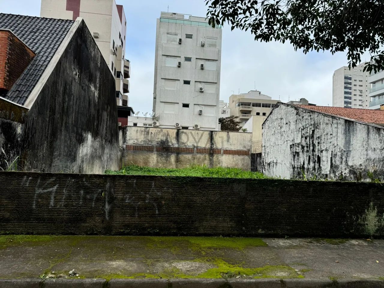 Terreno à venda em Caiobá ARYA1 - Foto 3