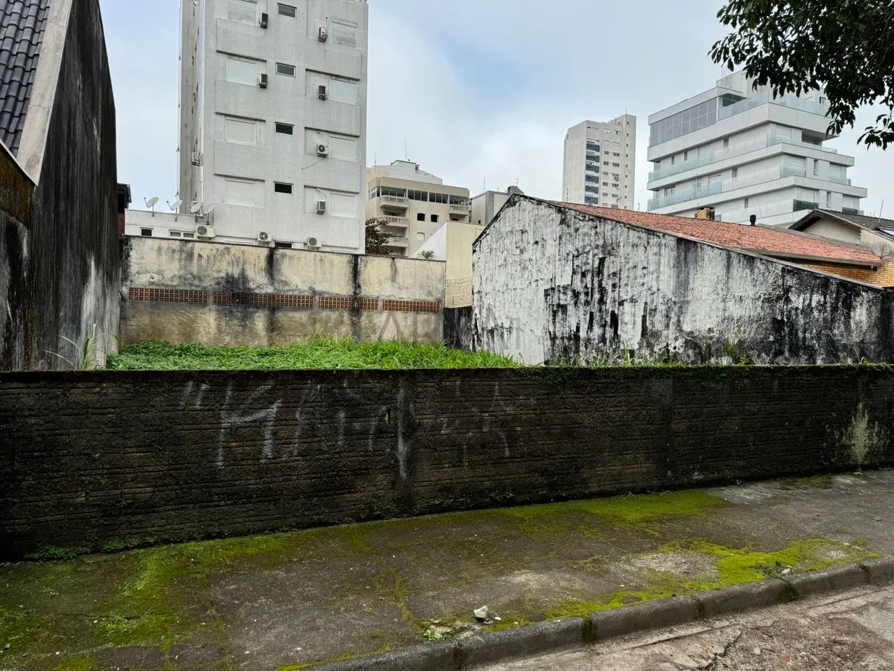 Terreno à venda em Caiobá ARYA1 - Foto 5