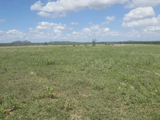 Fazenda com 570 hectares entre Tangara e serra caiada