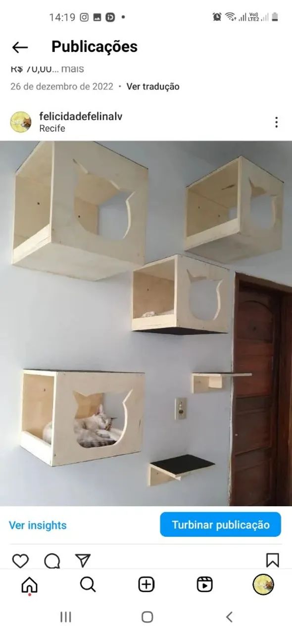 Circuito para gatos  - Foto 6