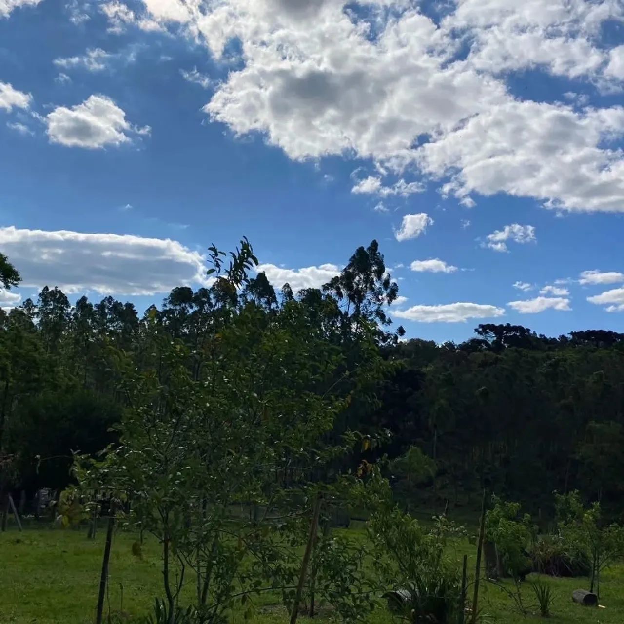 Chácara em taquara  - Foto 4