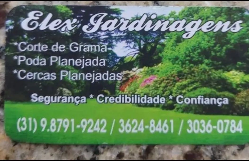 Serviços de poda e jardinagem  - Foto 4