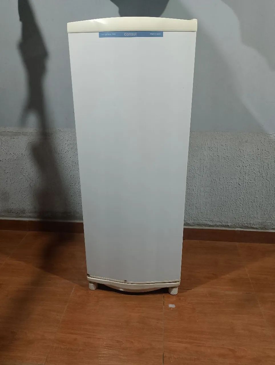 Geladeira 300 litros 