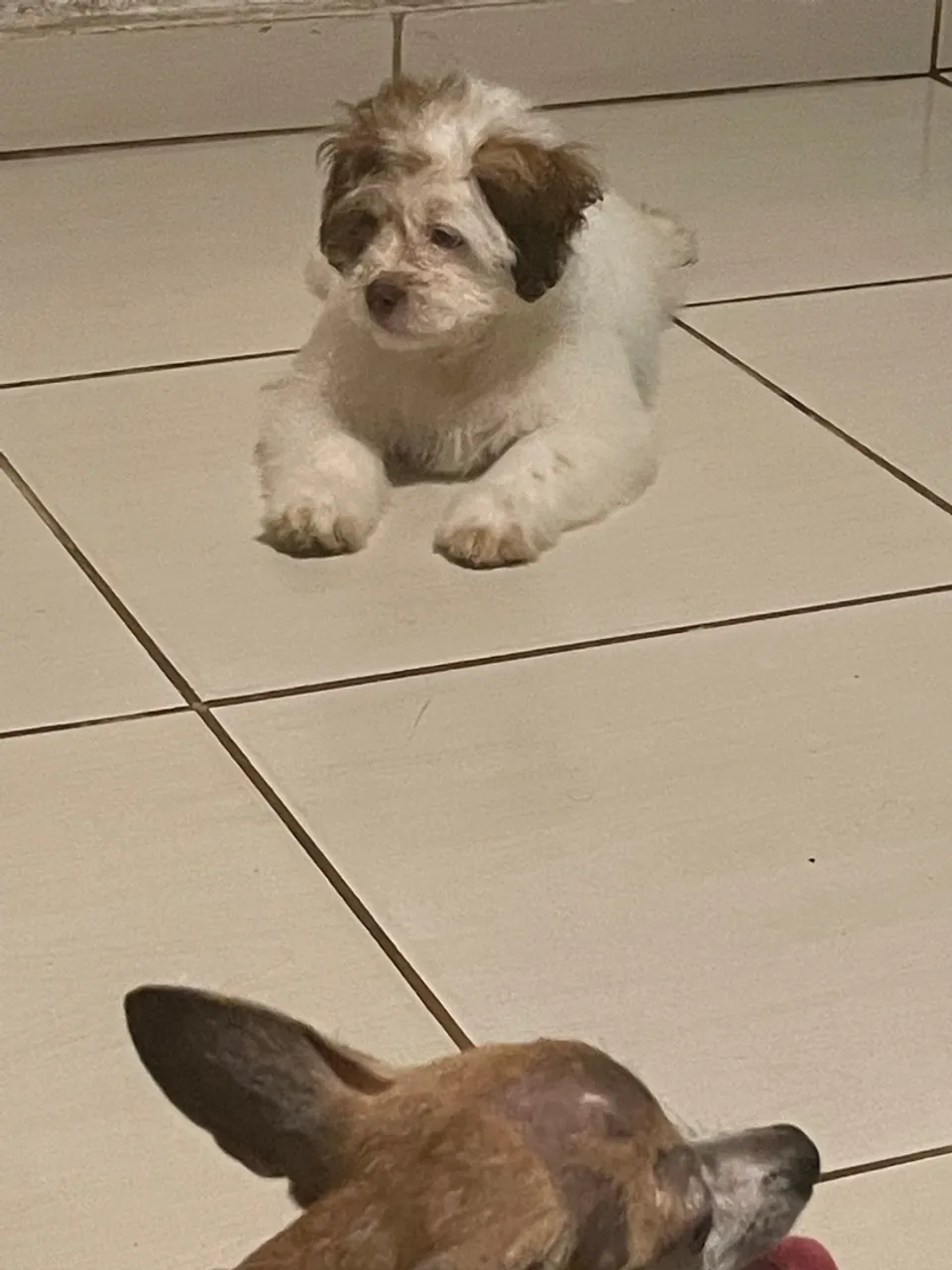Vende-se