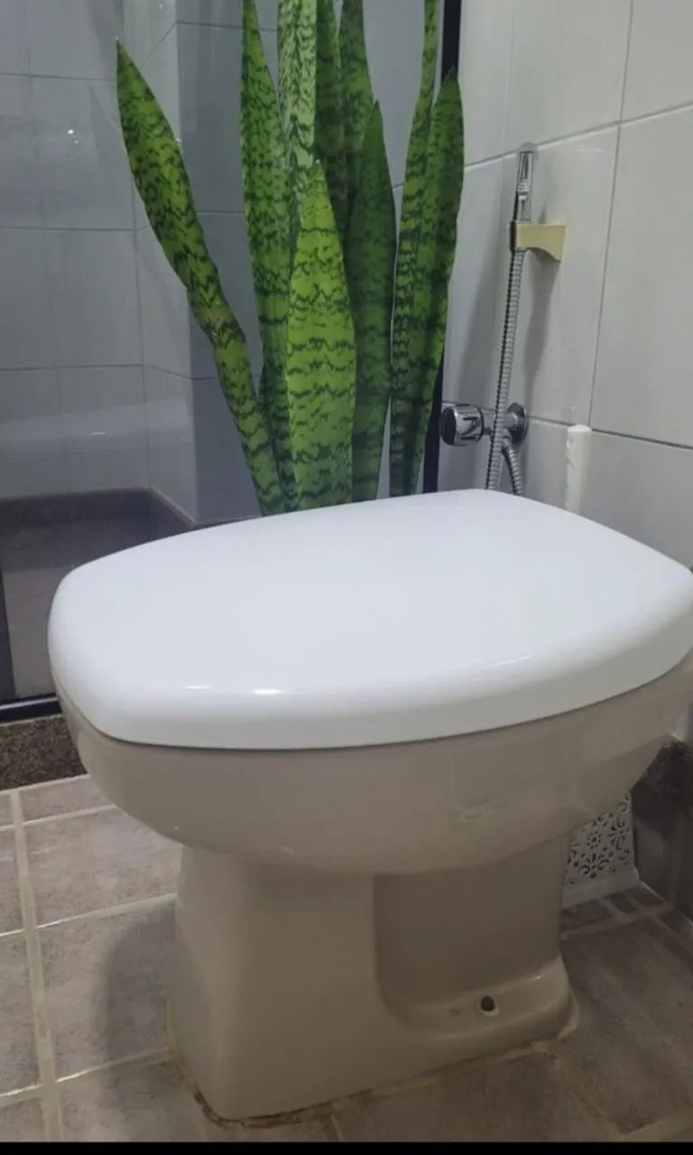 Vaso Sanitário Com Assento 
