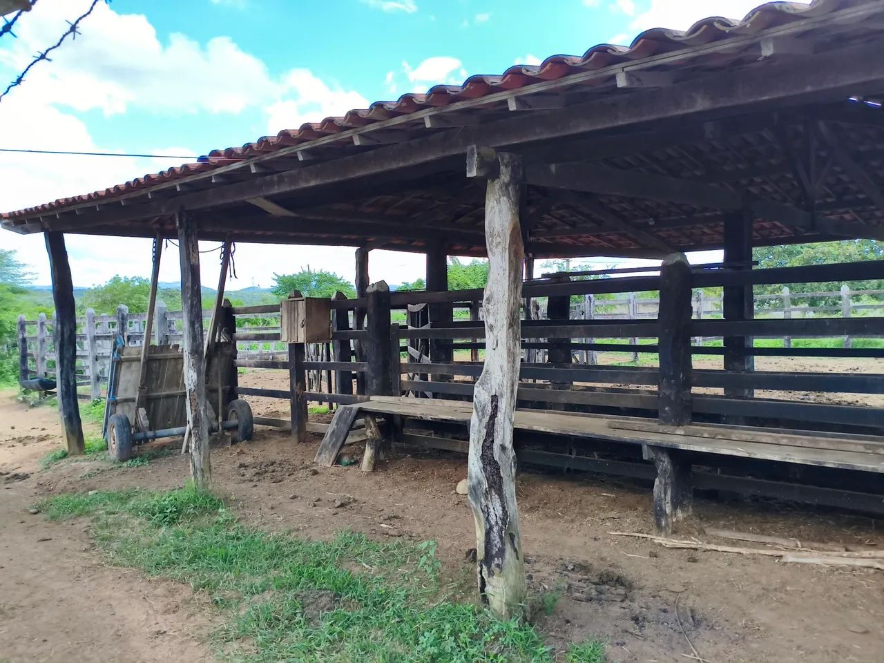 148; tarefas há margem da BR 116 há 20 km de Feira de Santana  - Foto 3