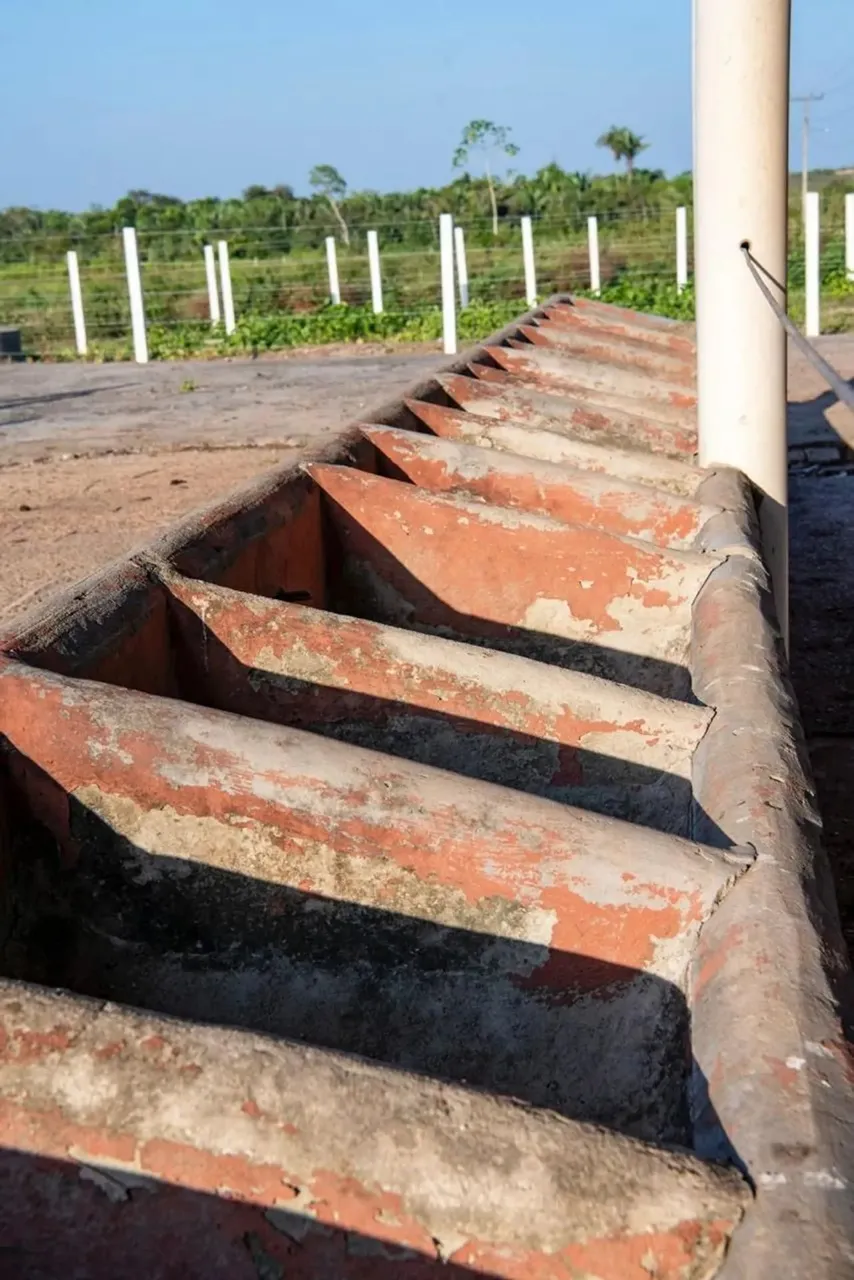 Fazenda em Bacabeira